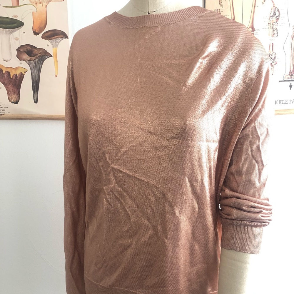 Alexander Wang Metallic Sweater